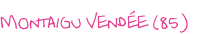 Montaigu Vendée (85)